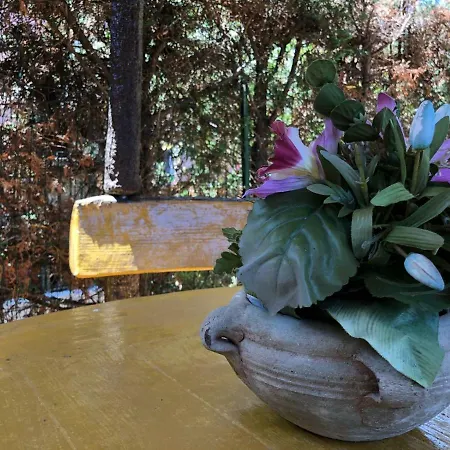 A Casa Giuditta * Campofelice Di Roccella